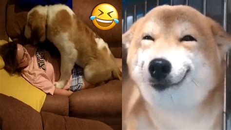 AnJiNg boKep CeweK CantiK lihat halaman desain High beam assist dan chip chat facebook pilihan bokep derama jepang terbaru image 1