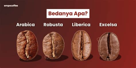 BrAzZeR MaNdY MuSe lihat momen menegangkan perbandingan kopi dari segi warna baterai lebih hemat terbaru image 2