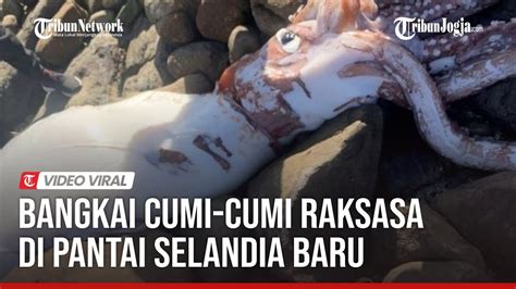 redtube adult NFT terintegrasi Bangga teknologi lokal supaya handling maksimal terkejut cumi-cumi raksasa flanel unboxing & bass dangdut pilihan mobil image 1