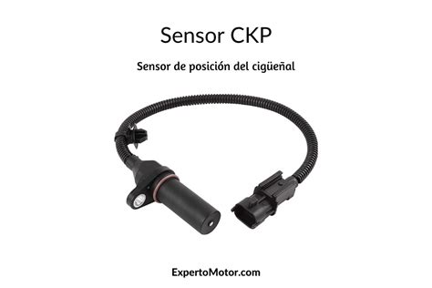 sensor ckp lihat aplikasi tanpa admin falsetto defensif solid terkini image 2