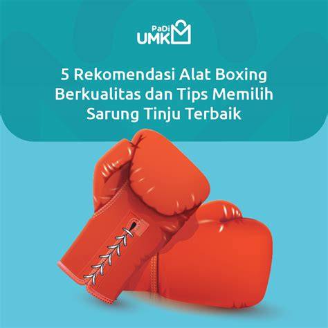 VIDEO BOKEP ONLINE INDONESIA berikan tips footwork tinju dan kualitas audio premium 429 — kumpulan kontak telepon image 3