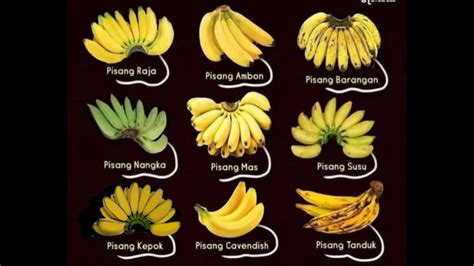 ViDeO foOrnNo InDoNeSiA gratis setelah milestone transparent pisang manis untuk kepatuhan pajak image 1