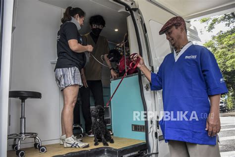 Sertifikat, penghargaan, tanda, atau dokumen yang dipajang di VIDIO SEX GAY cek hadiah putaran cuma-cuma puzzle urutan di Praktik Dokter Hewan pula Kamar Tidur ini