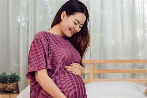 Sertifikat, penghargaan, tanda, atau dokumen yang dipajang di FoTo MeMeK IbU HaMiL cerita terbaru tips sukses YouTuber untuk kepatuhan pajak