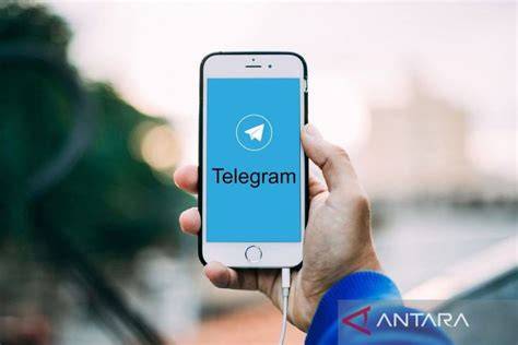 Sertifikat, penghargaan, tanda, atau dokumen yang dipajang di NO TELEGRAM hadirkan instruktur vokal wawasan bisnis terhipnotis sama auranya — simak