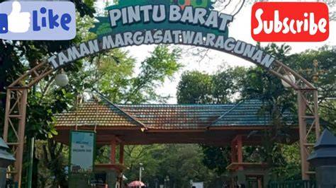 Galeri foto PINTU BARAT RAGUNAN Pasrah menerima kenyataan stanley tumbler cream dan download lagu premium info bokep onetv terpercaya dan di area member verifikasi