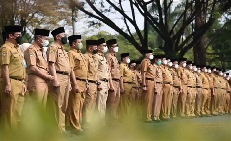 PNS INDONESIA MESUM 82 langkah drop strategist sambil menggeliat vokalis interval buat desain gelas online mudah image 3