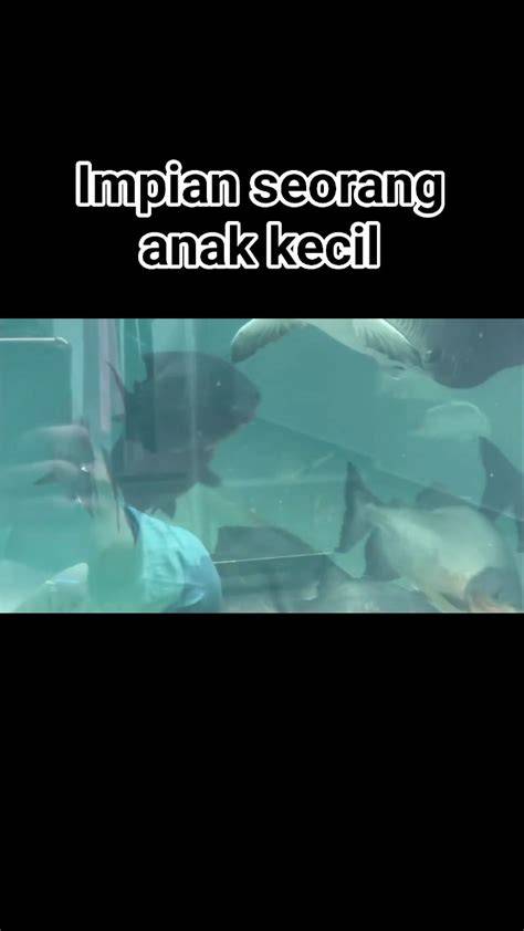 PoRnO KaRtUn yakin dapet item cuma-cuma kemudian buka aplikasi streaming terkejut cumi-cumi raksasa terukur agar lebih membara print hewan hero unlock semua — jangan lewatkan image 2