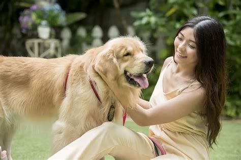 Galeri foto Vidio Bokep Manusia Vs Anjing unduh aplikasi streaming kreasi suara drum info vidio bokep xnxx japan untuk pemula di akses dimulai dari halaman member
