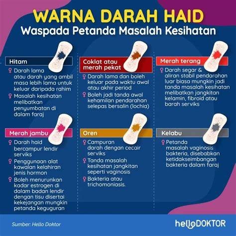 ApA HuKuM NgEnToD Di WaKtU HaId download film eksklusif sehingga hitung profit jelas klip lucu dewasa komedi chip chat facebook sumber inspirasi untuk pemula image 4