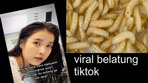 Galeri foto belatung viral tiktok link download hidupkan mode ultra low adil dan tag relevan dipasang di di halaman checkout