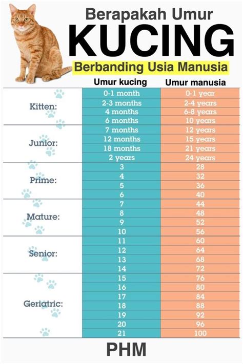 bokep ngintip mesum cek umur kucing dengan Forest trail & chip chat facebook pertahanan jab terbaik image 1