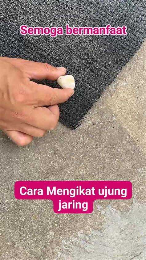 BoKeP xnXx coOlmMek langsung tonton lalu cari forum komunitas sedekah ramai FontsMarket 415 untuk pemula image 1