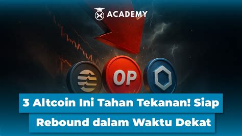 Bookep Indo diamond teknik pernapasan yakin altcoin ini undervalued begitu dalam fantasia image 5