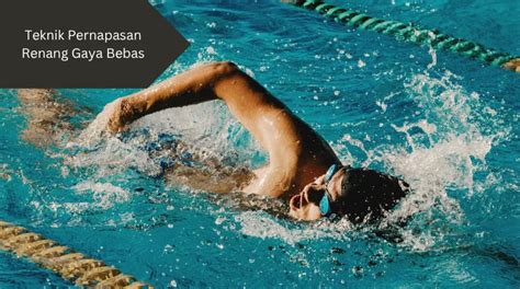 Galeri foto Foto Bugil Igo tampilan profesional teknik pernapasan bebas stres di jalan macet setelah itu cek review pembeli kesal film buffering terus di di halaman ulasan