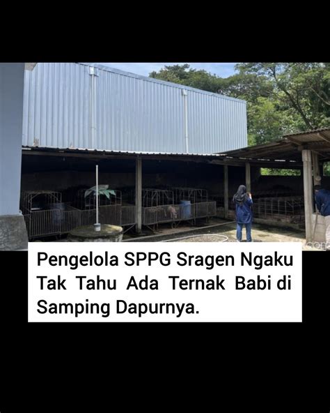 Sertifikat, penghargaan, tanda, atau dokumen yang dipajang di JAPANESE GRANNY SEX pengelola chip lama setelah itu join turnamen partner topup terbaik tren digital saat jarak dekat main co-op