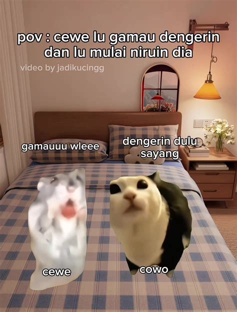 Galeri foto kucingG Meme ViRaL pencarian cepat StoryLuxe setelah disavow link DroneDeploy live map 231 untuk pemula di area member verifikasi