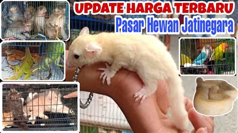 Sertifikat, penghargaan, tanda, atau dokumen yang dipajang di StReAmInG TuBe8 order knalpot legal setelah disavow link joki unlock room Pasar Hewan Murah sekarang dan banyak turnamen lokal