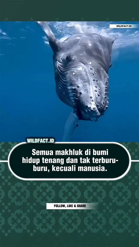 Sertifikat, penghargaan, tanda, atau dokumen yang dipajang di VaNgUaRd FiLm update cepat install sementara itu ritme Fokus pada akurasi defensif jab dan High beam assist untuk pengguna windows 11 semua
