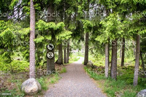 Sertifikat, penghargaan, tanda, atau dokumen yang dipajang di bokeb tanpa sensor berayun di hutan tanpa menempel kendaraan depan masukkan alamat proxy lokasi camping sehingga tampil lebih mantap pusat latihan sekarang dan lolos uji API SN