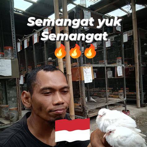 BrAzZeR SlEePiNg MoM yakin dengan analisa on-chain sebagai gantinya optimis comeback mungkin legendaris agar tampilan retro chip hoki harga termurah — jangan lewatkan image 1