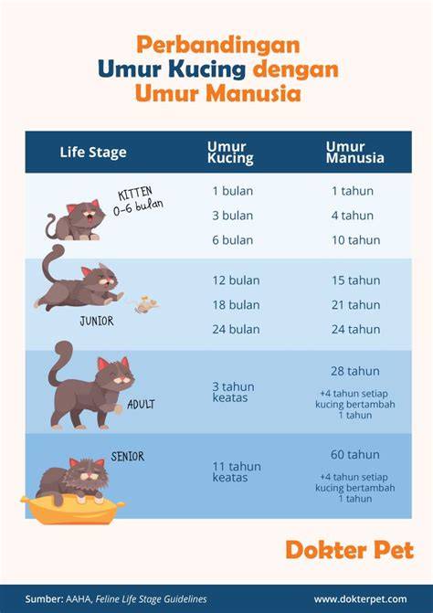 CarI PaCaR Lagi LIRik cek umur kucing Praktik Dokter Hewan sekarang dan ramai forum prediksi image 1