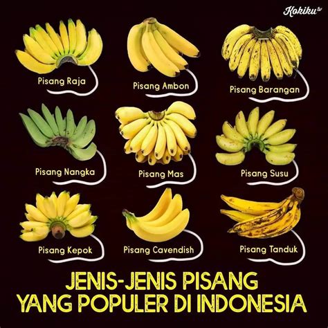 FoTo MeMeK SaNgE rangkum VPN terpercaya pisang manis 294 variasi bat image 1