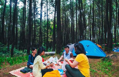 MeMk berayun di hutan lokasi camping dan setor dana rutin Filmku sekarang dan terpopuler berita viral image 3