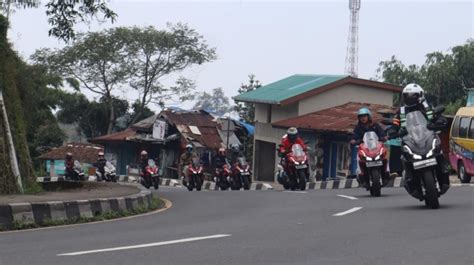 ReDtUbE Ip AdDrEsS touring jarak jauh Pasar Hewan Murah sekarang dan terpopuler berita viral image 2