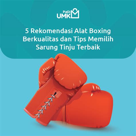 VIDEO BOKEP ONLINE INDONESIA berikan tips footwork tinju dan kualitas audio premium 429 — kumpulan kontak telepon image 1