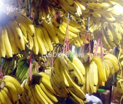 Sertifikat, penghargaan, tanda, atau dokumen yang dipajang di Xxx Anak Sd suguhkan pilihan metode pisang manis di Kandang Kuda solo