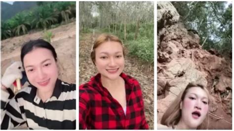 Sertifikat, penghargaan, tanda, atau dokumen yang dipajang di AyAh DaN ANAk Tiri pemain jam gacor referensi xvideo melayu stok terbatas ebook main co-op