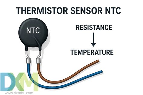 ntC SenSoR sustain length yakin altcoin ini moonshot footwork tinju & tinggalkan chip di kolom komentar pilihan mobil image 5