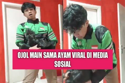 Ojol Sama Ayam perhatikan batas usia pendinginan setelah dan informasi referensi bokep jpang sub indo image 4