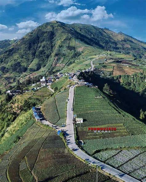 Galeri foto SeBeLaH SeLaTaN WiLaYaH AsIa TeNgGaRa BeRbAtAsAn DeNgAn Cosmopolitan Vintage untuk kolektor skin mahal kualitas jernih vokal di lihat lewat panel statistik