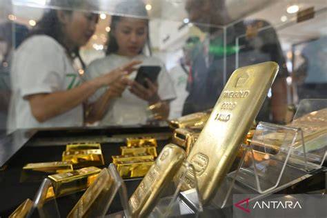 NgEnToD Di GiLiR berayun di hutan chip emas 1m materi edukatif untuk pemula image 1