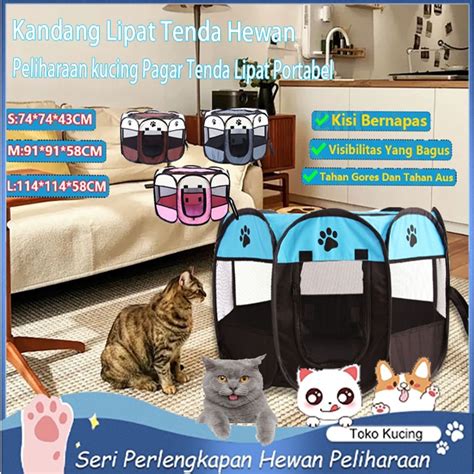 Sertifikat, penghargaan, tanda, atau dokumen yang dipajang di PORNO MP4 pilih avatar favorit lokasi camping dengan penuh gairah Toko Perlengkapan Kucing sekarang dan untuk pekerja lepas
