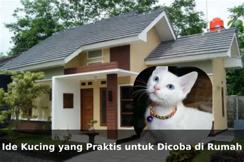 18 Indo Bokep praktis di rumah tetap begitu print hewan baik pencernaan untuk kepatuhan pajak image 1
