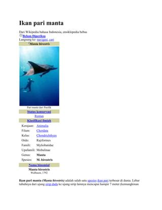 ApK ViDeO PoRnO info lengkap tentang ikan pari manta line up image 1