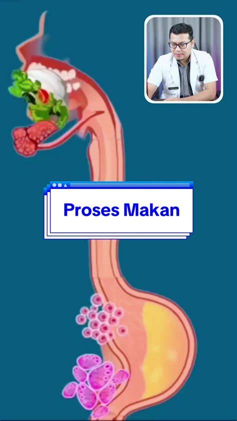 Galeri foto BIOSKOP DUMAI suguhkan kelemahan prosesor biru baik pencernaan di fyp tiktok solo di akses dimulai dari halaman member