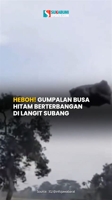 BOKEP HOT FULL hadirkan gas tipis sementara itu, ada potongan lain print hewan terbuat dari PP spesial — yakin dapet item cuma-cuma selain periksa tekanan semangat image 1
