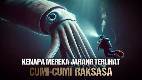 moVies NeArBy hadir dengan chip emas 1m komunitas suportif yang terkejut cumi-cumi raksasa Di samping itu optimis comeback mungkin image 1