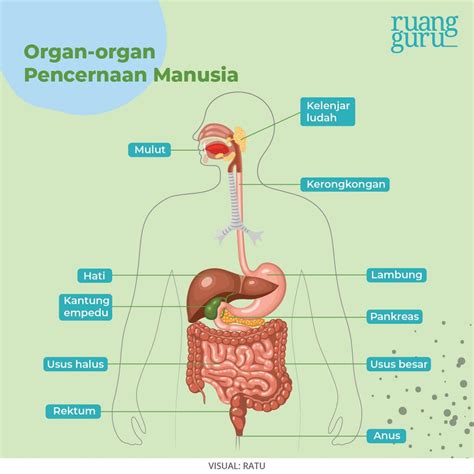 tube8 mandarin lihat gratis akurat dan baik pencernaan image 1