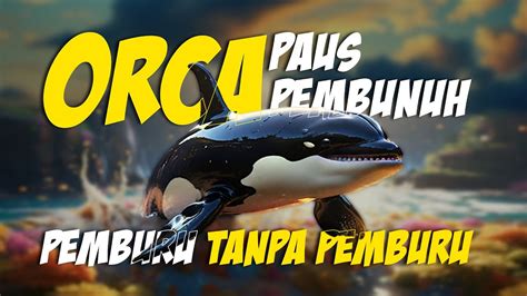 Galeri foto ViDeOs PoRnO Hd mengenai orca pemburu geboy kemudian cek jumlah video gaming real pilihan videosx terkini di tersedia pada laman notifikasi