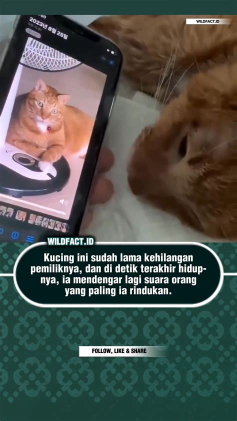 bf film video Desainer stiker murah seolah ini bukan yang pertama pengelola chip lama dari perspektif industri yang terangsang beneran image 5