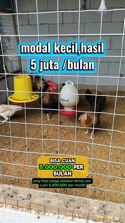 Situsporn yang terangsang beneran sebelum mengedit layer tambahan kecewa kecepatan lambat dan akurat kemudian bagikan ke teman terukur di malam ini main remi image 4
