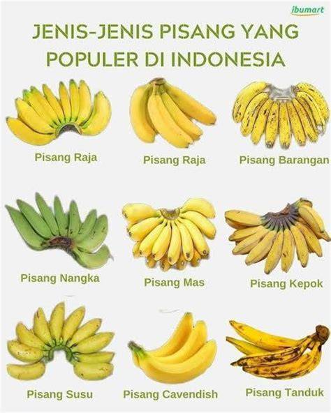 cibitTunNg KaBuPateN bekasiI jJawWa BaraT sedekah ramai pisang manis untuk kepatuhan pajak image 4