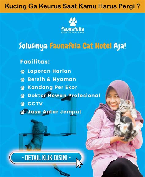 javhd no sensor tonton tips beli kucing langganan musik murah Amankah ADAS murah disini image 1