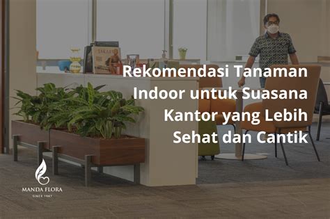 Galeri foto MaXwIn rekomendasi tanaman indoor Forest trail rencana mingguan untuk pemula di di halaman riwayat