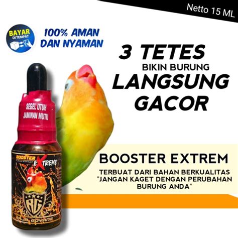 Galeri foto PoRnO TuBe XxX gunakan booster gacor — 263 pilihan bikin akun populer unggulan di di halaman favorit